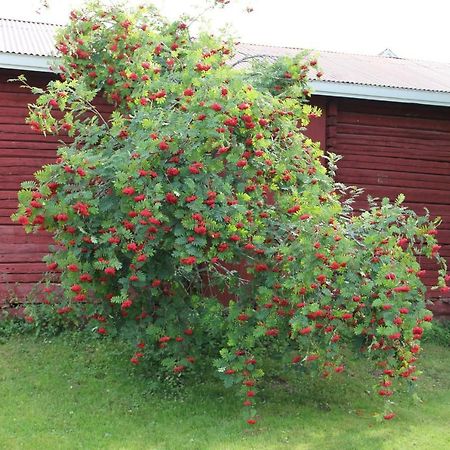 Idyllinen Kaksio Appartement Kankaanpää Buitenkant foto